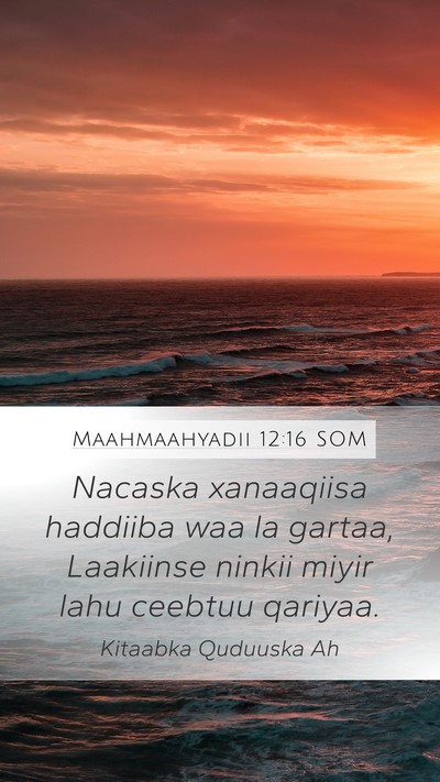 Maahmaahyadii 12:16 SOM Bible Verse Image