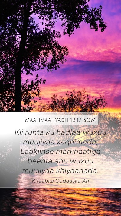 Maahmaahyadii 12:17 SOM Bible Verse Image