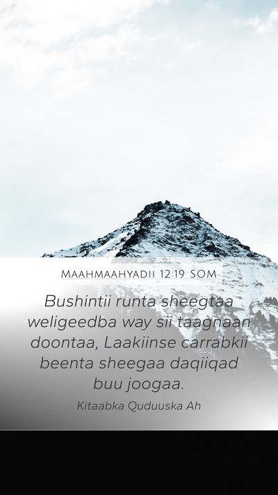 Maahmaahyadii 12:19 SOM Bible Verse Image