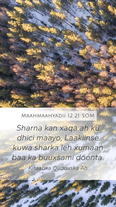 Maahmaahyadii 12:21 SOM Bible Verse Image