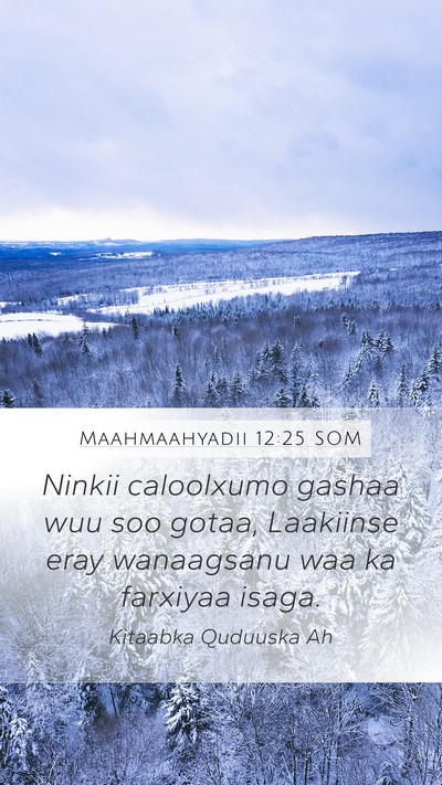Maahmaahyadii 12:25 SOM Bible Verse Image