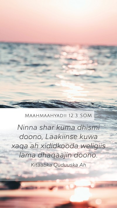 Maahmaahyadii 12:3 SOM Bible Verse Image