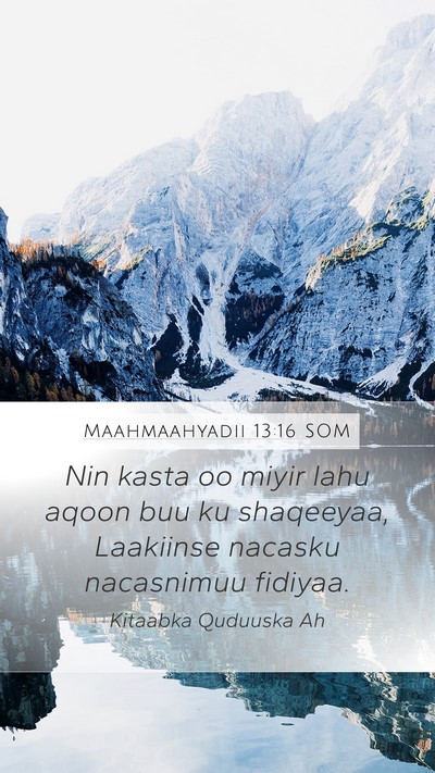 Maahmaahyadii 13:16 SOM Bible Verse Image