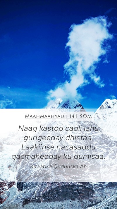 Maahmaahyadii 14:1 SOM Bible Verse Image