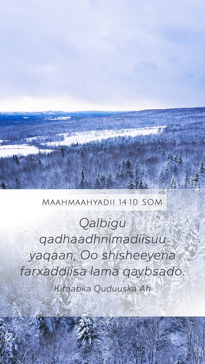 Maahmaahyadii 14:10 SOM Bible Verse Image