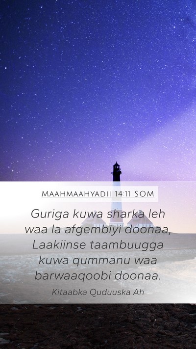 Maahmaahyadii 14:11 SOM Bible Verse Image