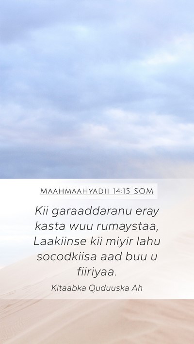 Maahmaahyadii 14:15 SOM Bible Verse Image