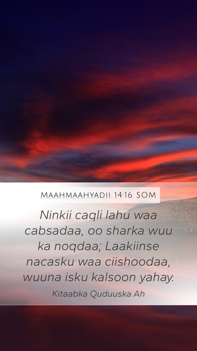 Maahmaahyadii 14:16 SOM Bible Verse Image
