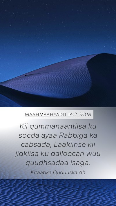 Maahmaahyadii 14:2 SOM Bible Verse Image