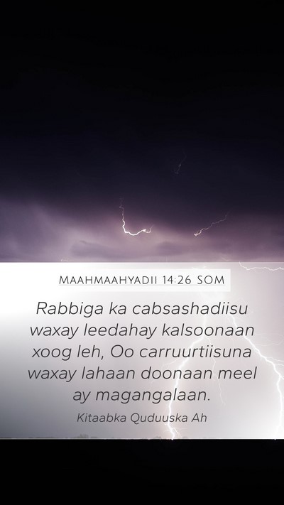 Maahmaahyadii 14:26 SOM Bible Verse Image