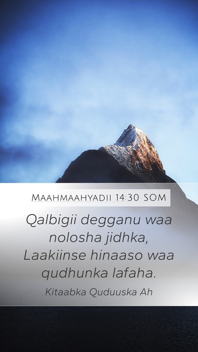 Maahmaahyadii 14:30 SOM Bible Verse Image