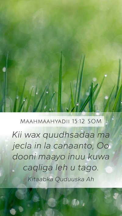 Maahmaahyadii 15:12 SOM Bible Verse Image