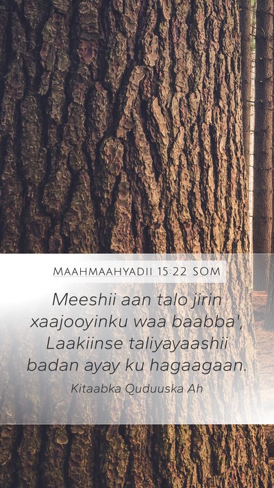 Maahmaahyadii 15:22 SOM Bible Verse Image