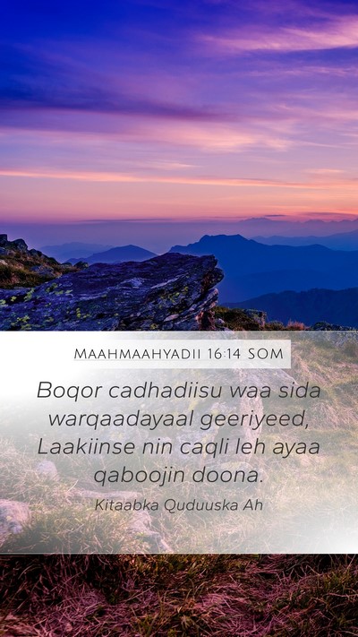 Maahmaahyadii 16:14 SOM Bible Verse Image