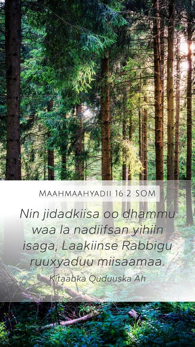 Maahmaahyadii 16:2 SOM Bible Verse Image