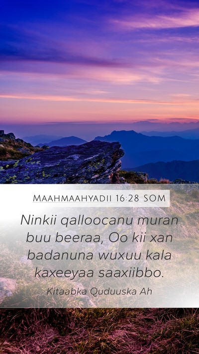Maahmaahyadii 16:28 SOM Bible Verse Image