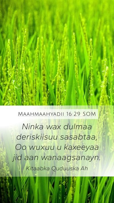 Maahmaahyadii 16:29 SOM Bible Verse Image
