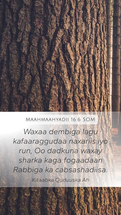 Maahmaahyadii 16:6 SOM Bible Verse Image