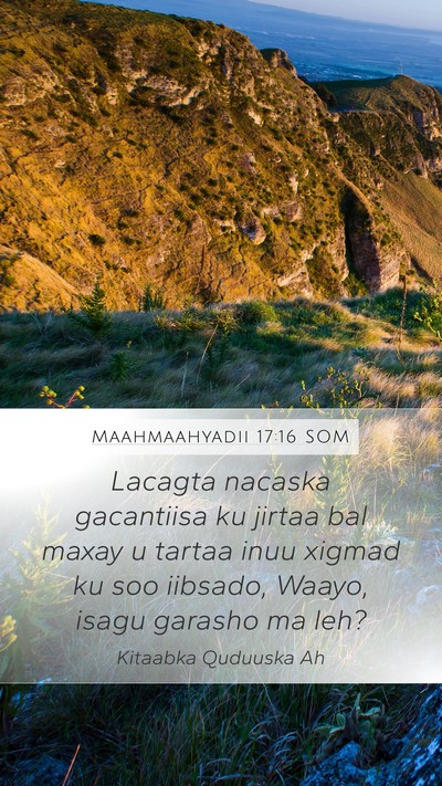 Maahmaahyadii 17:16 SOM Bible Verse Image