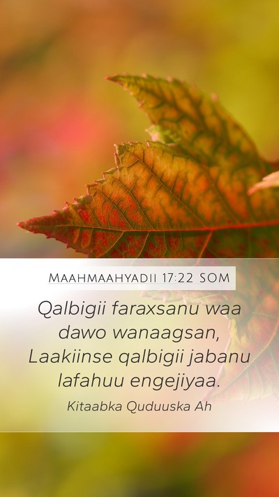Maahmaahyadii 17:22 SOM Bible Verse Image
