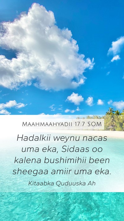 Maahmaahyadii 17:7 SOM Bible Verse Image