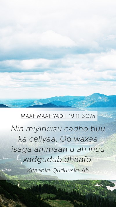 Maahmaahyadii 19:11 SOM Mobile Phone Wallpaper - Nin miyirkiisu cadho buu ka celiyaa, Oo waxaa - Mobile Bible Verse Wallpaper