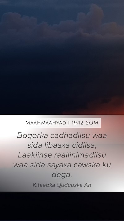 Maahmaahyadii 19:12 SOM Bible Verse Image