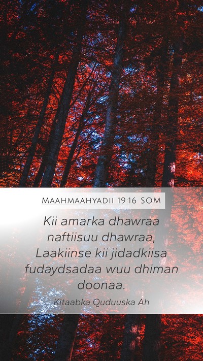 Maahmaahyadii 19:16 SOM Bible Verse Image