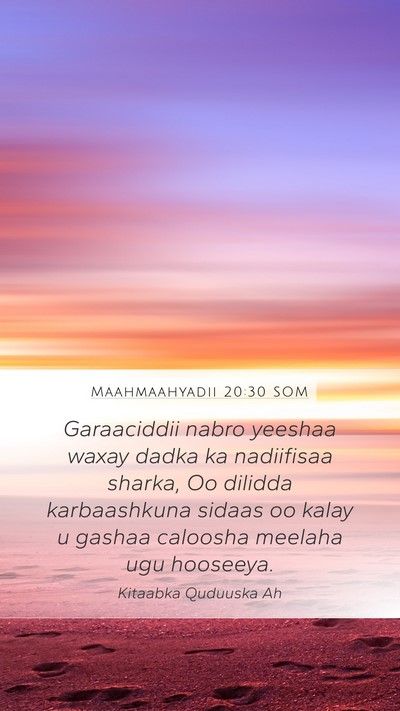 Maahmaahyadii 20:30 SOM Bible Verse Image