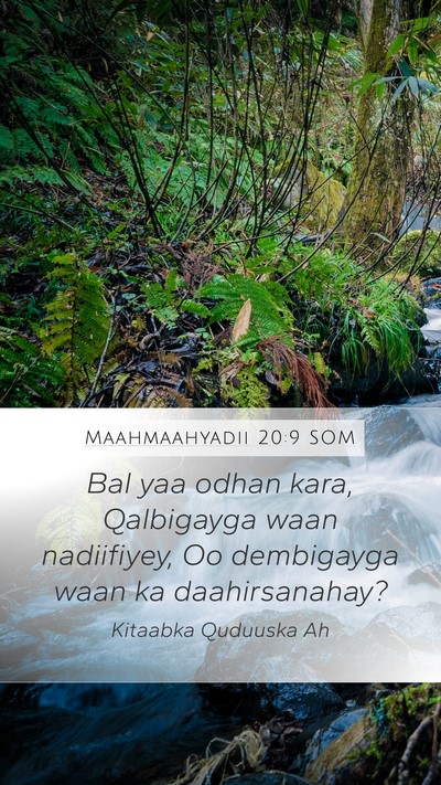Maahmaahyadii 20:9 SOM Bible Verse Image