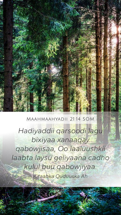 Maahmaahyadii 21:14 SOM Bible Verse Image