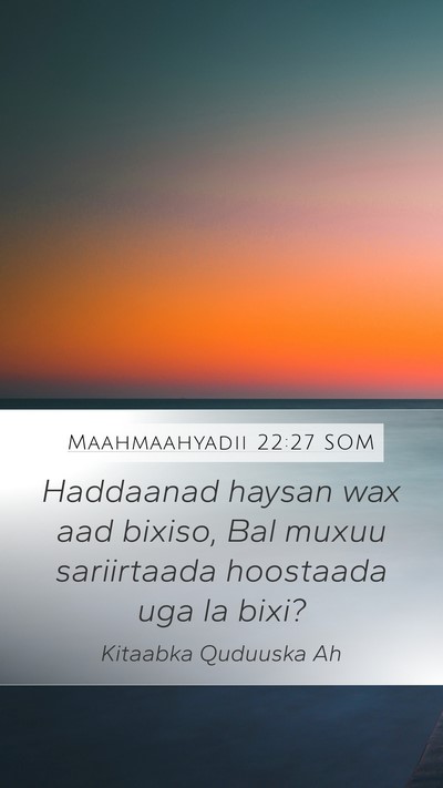 Maahmaahyadii 22:27 SOM Mobile Phone Wallpaper - Haddaanad haysan wax aad bixiso, Bal muxuu - Mobile Bible Verse Wallpaper