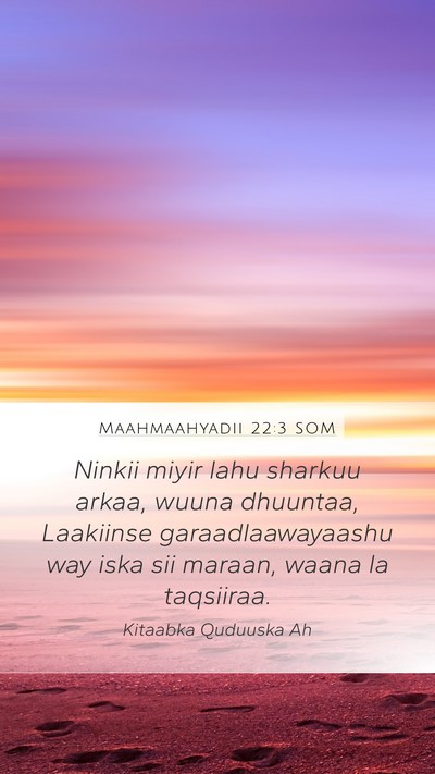 Maahmaahyadii 22:3 SOM Bible Verse Image
