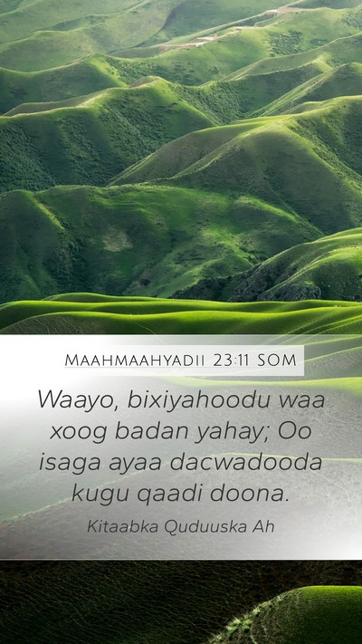 Maahmaahyadii 23:11 SOM Bible Verse Image