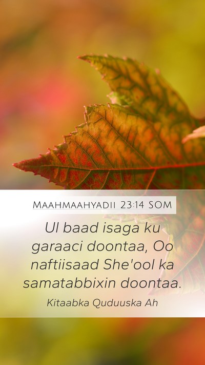 Maahmaahyadii 23:14 SOM Bible Verse Image