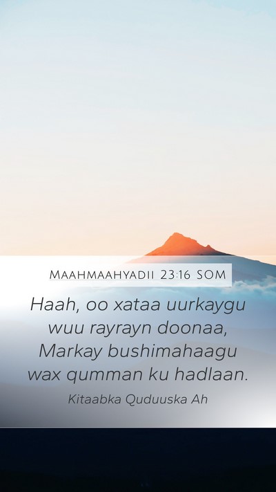 Maahmaahyadii 23:16 SOM Bible Verse Image
