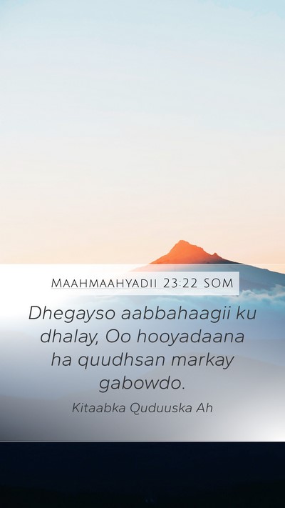 Maahmaahyadii 23:22 SOM Bible Verse Image