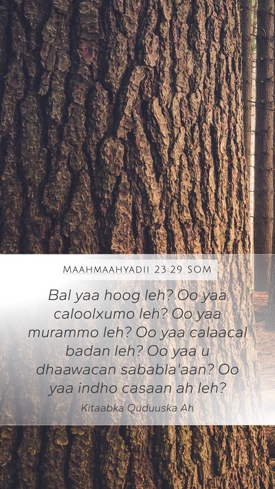Maahmaahyadii 23:29 SOM Bible Verse Image