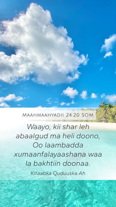 Maahmaahyadii 24:20 SOM Mobile Phone Wallpaper - Waayo, kii shar leh abaalgud ma heli doono, Oo - Mobile Bible Verse Wallpaper