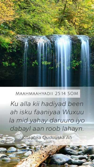 Maahmaahyadii 25:14 SOM Mobile Phone Wallpaper - Ku alla kii hadiyad been ah isku faaniyaa Wuxuu - Mobile Bible Verse Wallpaper