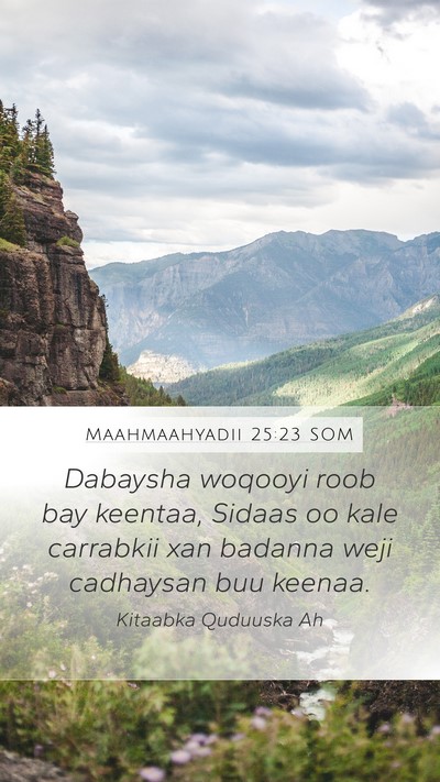 Maahmaahyadii 25:23 SOM Bible Verse Image