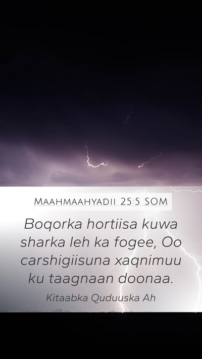 Maahmaahyadii 25:5 SOM Bible Verse Image