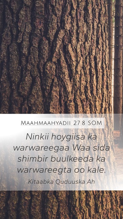 Maahmaahyadii 27:8 SOM Bible Verse Image