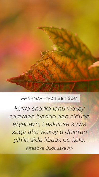Maahmaahyadii 28:1 SOM Bible Verse Image