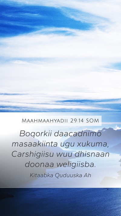 Maahmaahyadii 29:14 SOM Bible Verse Image
