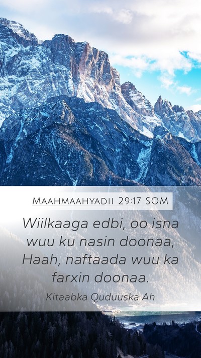 Maahmaahyadii 29:17 SOM Bible Verse Image