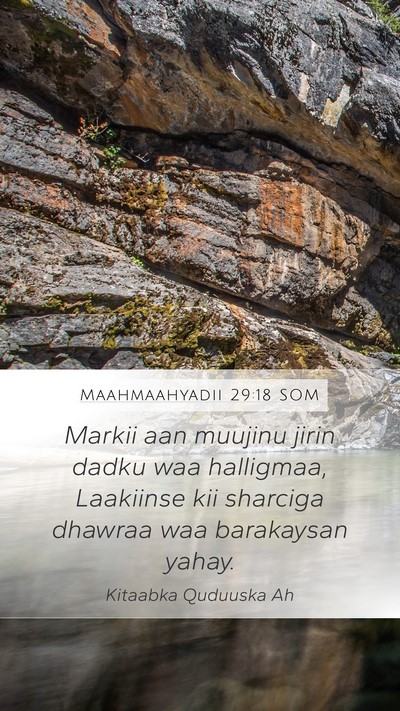Maahmaahyadii 29:18 SOM Bible Verse Image
