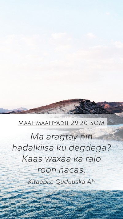 Maahmaahyadii 29:20 SOM Bible Verse Image