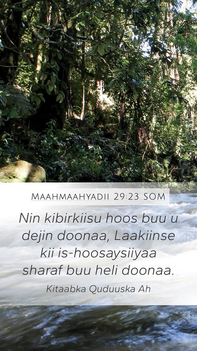 Maahmaahyadii 29:23 SOM Bible Verse Image