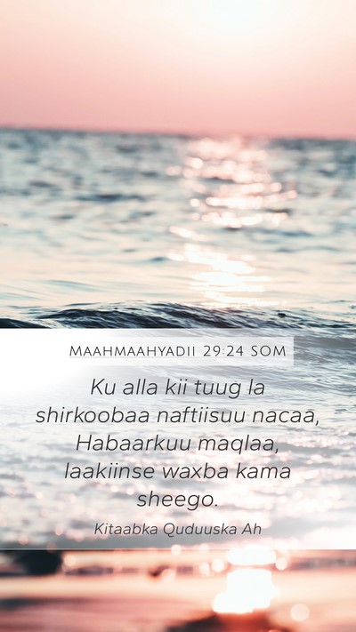 Maahmaahyadii 29:24 SOM Bible Verse Image